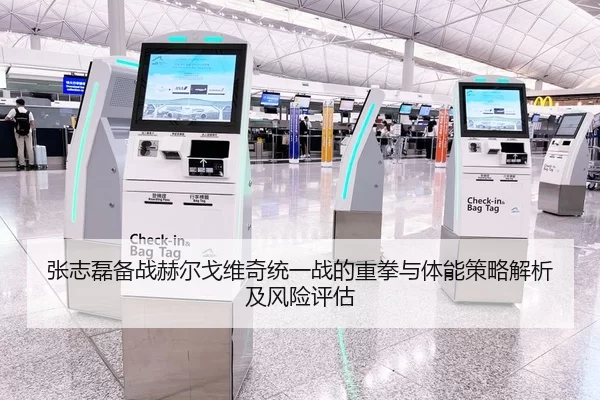 张志磊备战赫尔戈维奇统一战的重拳与体能策略解析及风险评估